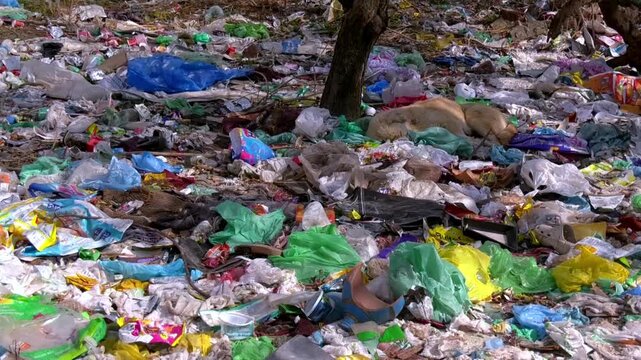 Trash pollution crisis harming earth through water pollution air pollution plastic polythene diapers waste destroying environment threatening health ecosystems future generations worldwide