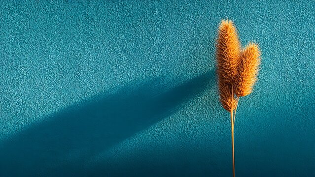 Dried lagurus bunny tail grass stalks lean against a textured teal background casting a long dark shadow symbolizing minimalist botanical home decor and design