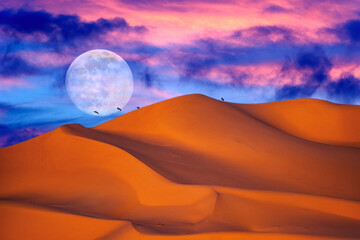 beautiful night sky with stars and moon, desert, moon and stars, dunes, sahara. morocco
