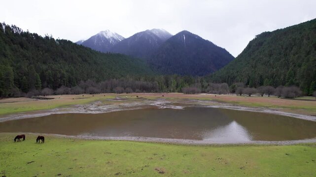 Drone view of grass lake in Bomi County, Nyingchi, Tibet, China. 4k real time footage, travel concept.