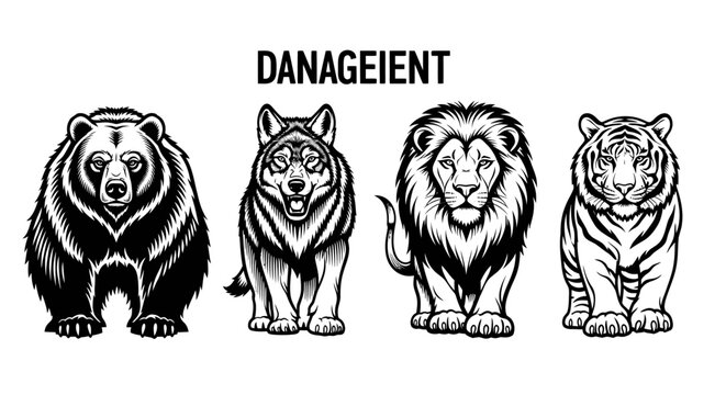 Black and white big cats lineup.