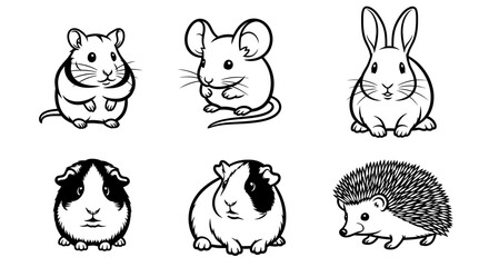 Fototapeta premium Cute small furry animal friends group.