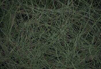 Obraz premium Abstract texture of intricately intertwined thin green plant stems and vines