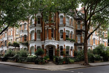 Fototapeta premium A row of elegant Victorian townhouses lines a London street, framed by lush green trees.