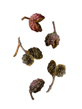 Dried Sichuan pepper pods with varying textures and deep colors, some open.