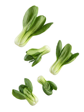 Fresh, vibrant green bok choy, clean and crisp, dynamically floating and isolated on a transparent background.