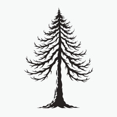 Obraz premium Pine tree, black silhouette, evergreen tree, minimalist design, vector icon