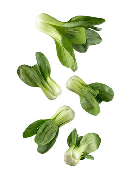 Fresh, vibrant green bok choy, clean and crisp, dynamically floating and isolated on a transparent background.