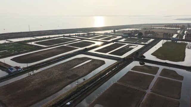 aerial view of water farmland