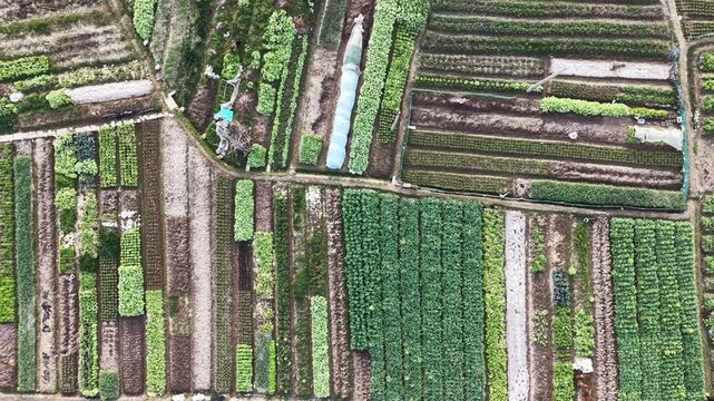aerial view of farmland