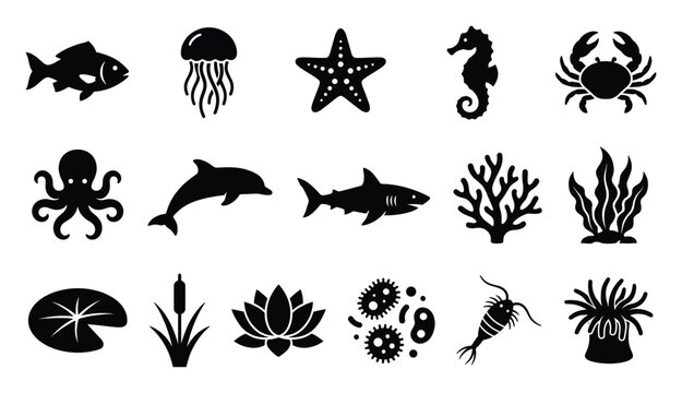 Diverse aquatic life silhouettes featuring marine animals, freshwater plants, and microorganisms, ideal for educational science materials, environmental graphics, and nature themed design