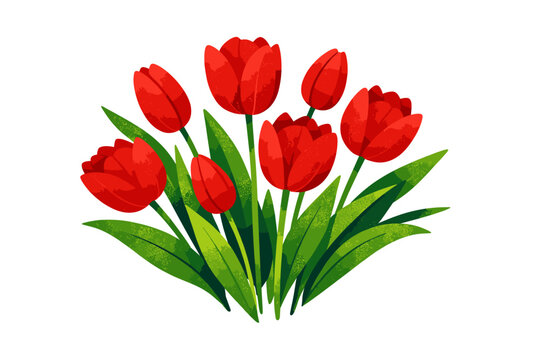 Set of red tulips with green leaves in artistic flat style with trendy grainy texture for spring floral design, isolated on white background. Beautiful bouquet for Mother's Day and Women's Day.
