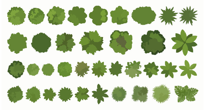 Top view landscape plant and tree set with overhead garden elements in clean vector illustration style