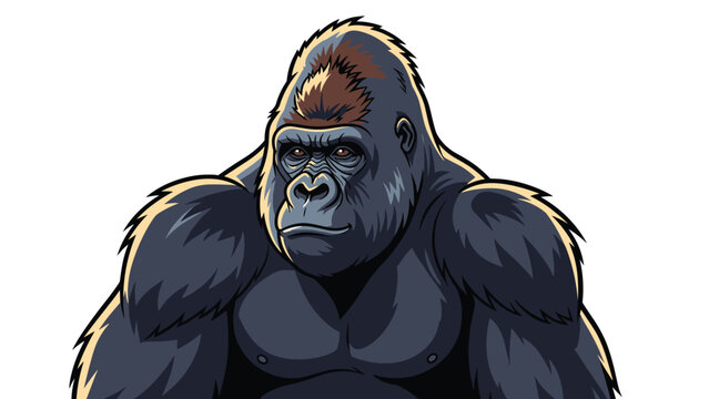 Close up portrait of a powerful gorilla looking off camera with detailed fur and facial features in a color drawing.