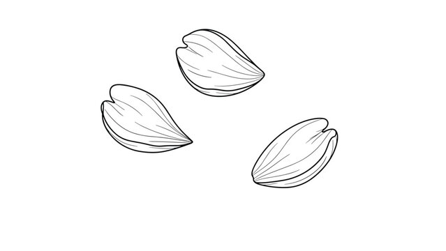 Small group of buckwheat seeds is shown in a simple black and white line art style, highlighting their distinctive triangular grain shape.