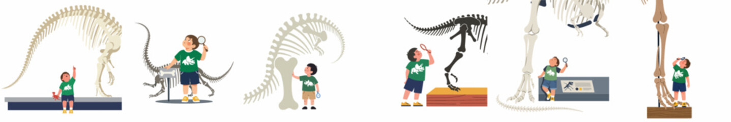 Set of illustrations showing a curious young boy exploring dinosaur skeletons and fossils at a natural history museum with a magnifying glass. © Nadhirotul