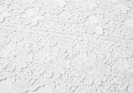 halftone lace texture background floral abstract vector illustration black white graphic design pattern