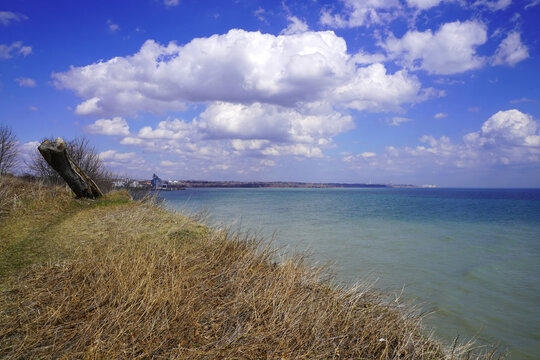 An elevated panoramic view from the grassy bluffs captures the turquoise waters of Lake Ontario stretching toward the horizon under a vibrant blue sky filled with white cumulus clouds