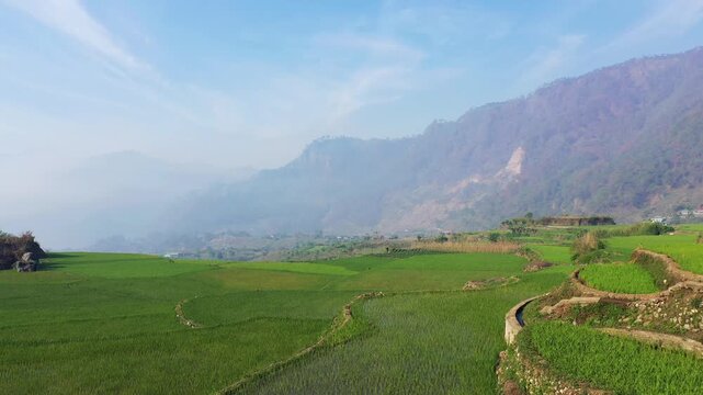 Scenic view of vibrant green rice terraces stretching towards misty mountains near Sagada, Philippines, under a clear blue sky.