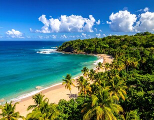 Fototapeta premium Tropical coastal scene with turquoise water, golden sand, lush green vegetation, and a brilliant blue sky dotted with white clouds