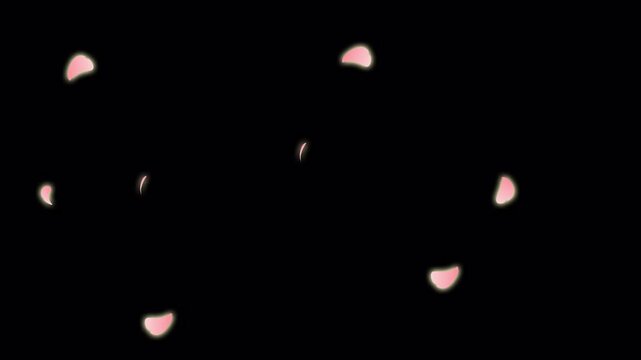 falling flower overlay from top to bottom with pink petal sakura and alpha channels, best for dreamy project overlay needed romatic look