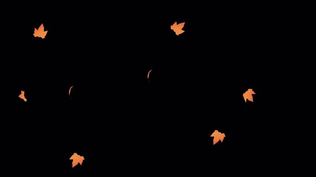 falling autumn flower overlay wit orange petal and alpha channel