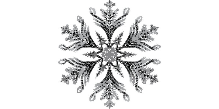 Intricate grayscale snowflake or starburst design with detailed symmetrical radial pattern isolated on white background snowflake starburst grayscale intricate detailed symmetrical