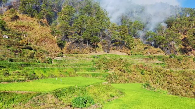 Smoke rises from a forest fire on a hillside above lush green rice terraces near Bontoc and Sagada in the Philippines. The dramatic contrast highlights the impact of wildfire on the natural landscape.