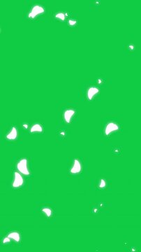 sakura flower overlay on green background with glowing effect on petal