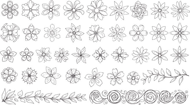 Collection of hand drawn floral and decorative borders flowers botanical leaves vines