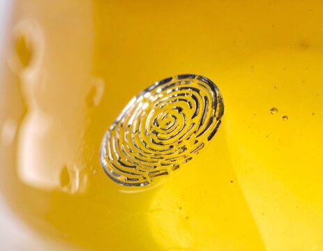 Striking minimalist macro photography capturing a perfectly clear human fingerprint impressed into thick glowing golden yellow liquid.