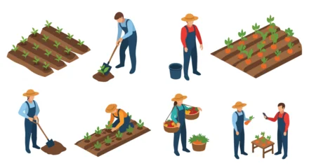 Fototapete Bauernhof Farmers Working in Vegetable Garden, Isometric Illustration  © khafid