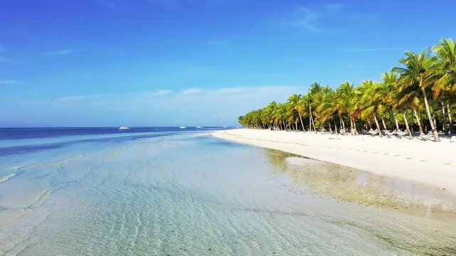 Scenic view of a pristine white sand beach lined with palm trees and clear blue water on Panglao Island, Philippines.