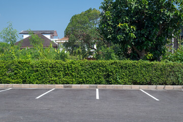 Parking lot with foliage wall in the background. © yotrakbutda