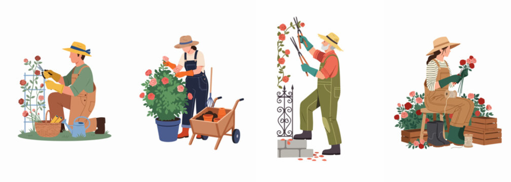 Set of flat illustrations featuring people gardening, pruning rose bushes, caring for plants, and arranging floral bouquets in a garden setting.