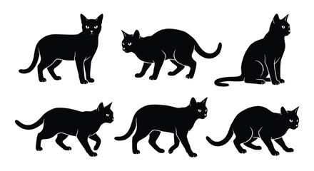 Black cat silhouette collection, set of 6 feline vector icons in various poses, standing and walking domestic cat silhouettes for halloween and pet design © Zubair