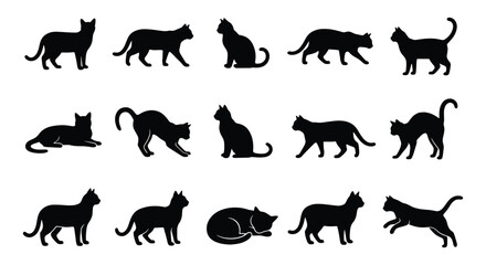Black cat silhouette collection, 15 domestic cat vector icons in various poses, feline pet silhouettes for logo design and web graphics © Zubair