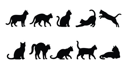 Black cat silhouettes collection, set of 10 feline vector icons in various poses, domestic cat profile shapes for pet shop branding and animal logos © Zubair