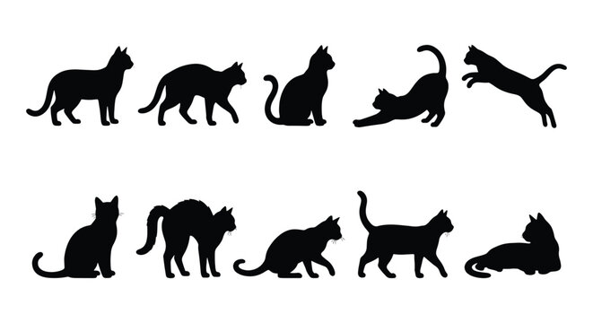 Black cat silhouettes collection, set of 10 feline vector icons in various poses, domestic cat profile shapes for pet shop branding and animal logos
