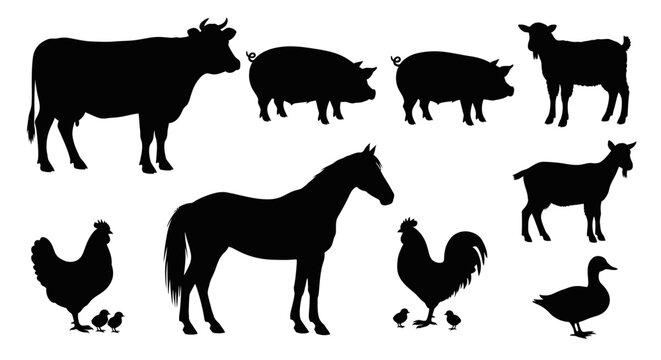 Farm animals 2d flat vector illustrated in silhouette cow, pig, sheep, horse, chicken, rooster, duck, and chicks