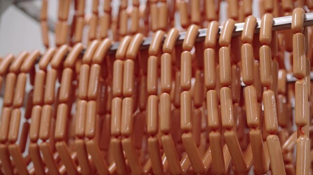 Rows of sausages hanging on an automated production line in a food processing factory, industrial meat production.