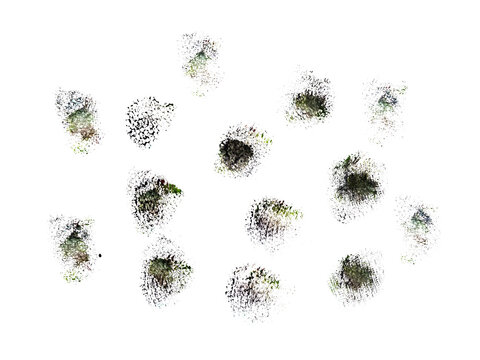 Top view of cannabis flower buds with psychometric on Transparent background, isolated macro closeup, scattered arrangement, high contrast.