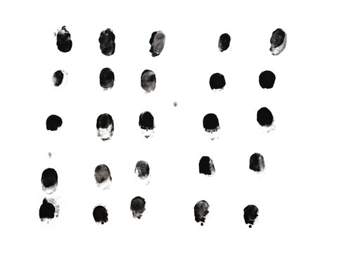Black ink fingerprint set on Transparent background, arranged in rows. Forensics and identity concept, minimal monochrome texture for security and investigation themes.