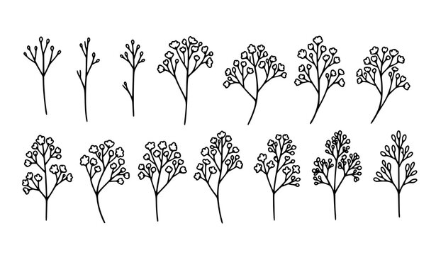 Gypsophila baby&rsquo;s breath line icon set in black and white hand drawn vector for floral design