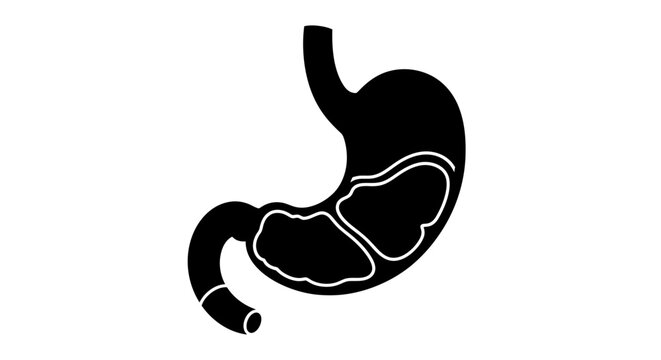 Anatomical illustration of a human stomach in black and white