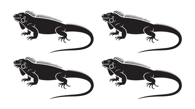 Black Iguana Silhouettes On White Background For Wildlife And Reptile Concepts