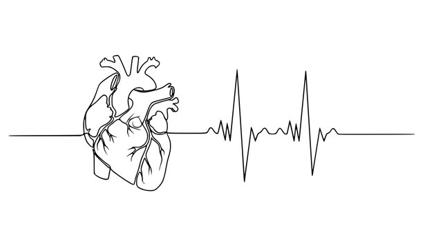 A minimalist line art illustration of a human heart with an ECG rhythm