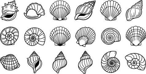 Black and White Line Art Seashells Collection. Ocean and Marine Life Outline Icons Featuring Various Sea Shells, Conchs, Clams, and Spiral Designs for Nature and Beach Concepts. © pixsource