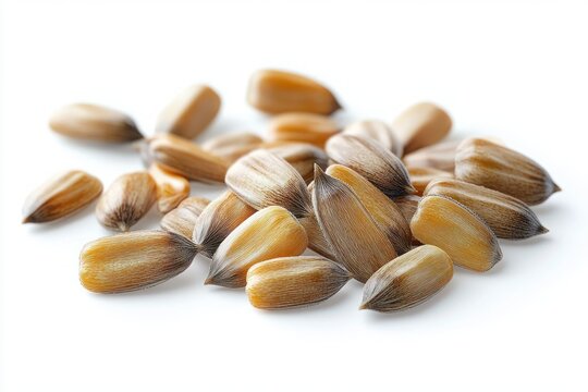 Close-up pile of unshelled pine nuts on white background, warm earthy tones and natural comforting simplicity