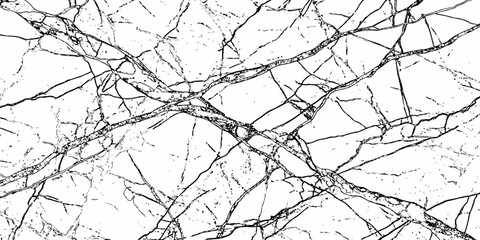 Obraz premium Elegant white marble texture with dense natural veins abstract polished stone background design.